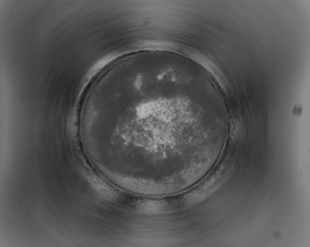 X0000101461074200807071425