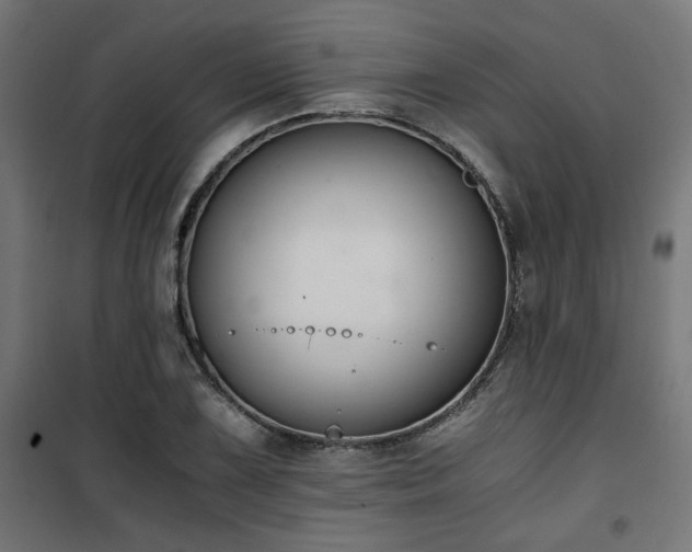X0000101461075200807071425