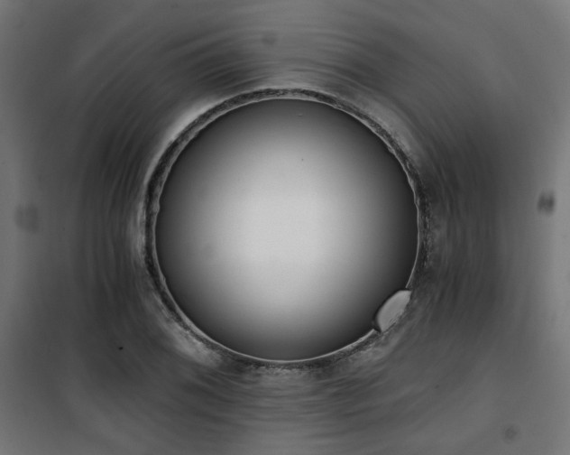 X0000101461076200807071425