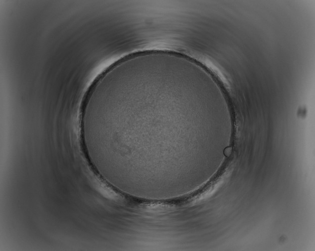 X0000101461077200807071425