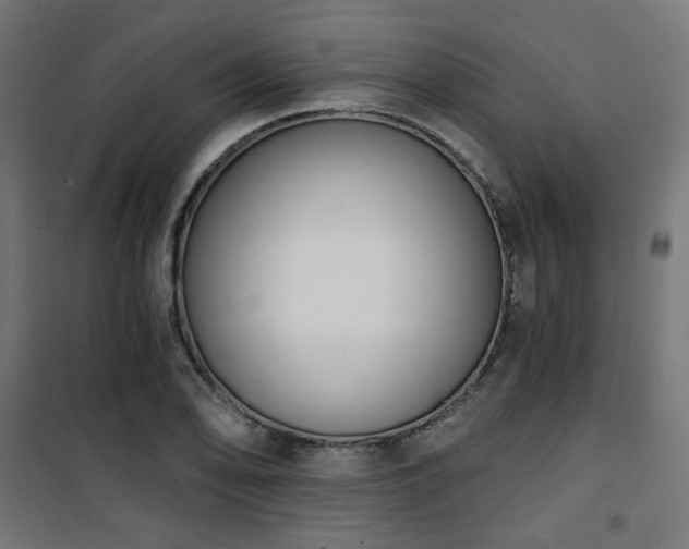 X0000101461078200807071425