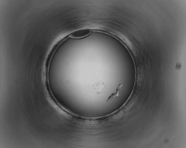 X0000101461080200807071425