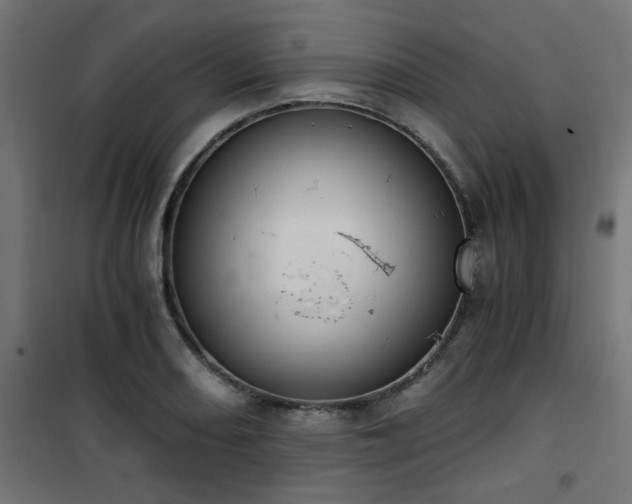 X0000101461082200807071425