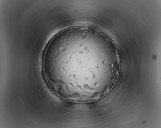 X0000101461083200807071425