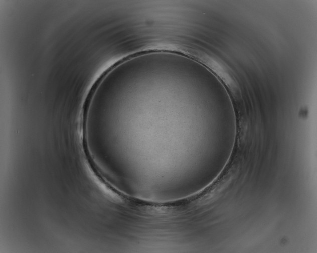 X0000101461084200807071425