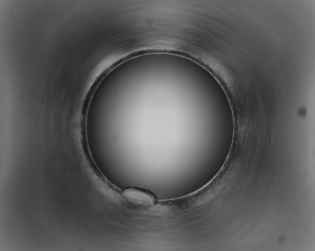 X0000101461085200807071425