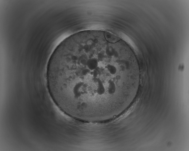 X0000101461087200807071425
