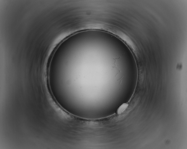 X0000101461088200807071425
