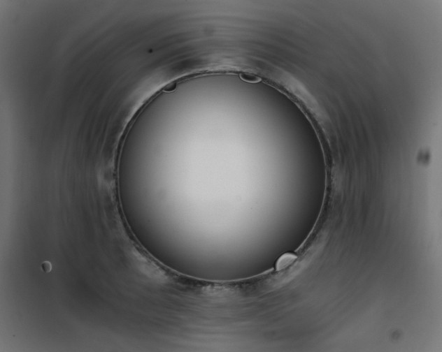 X0000101461089200807071425