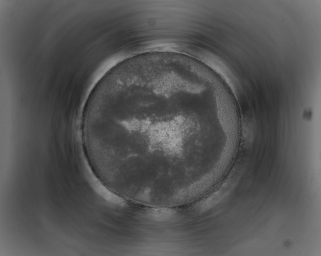 X0000101461090200807071424