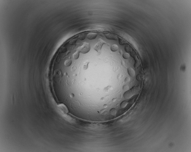 X0000101461091200807071424