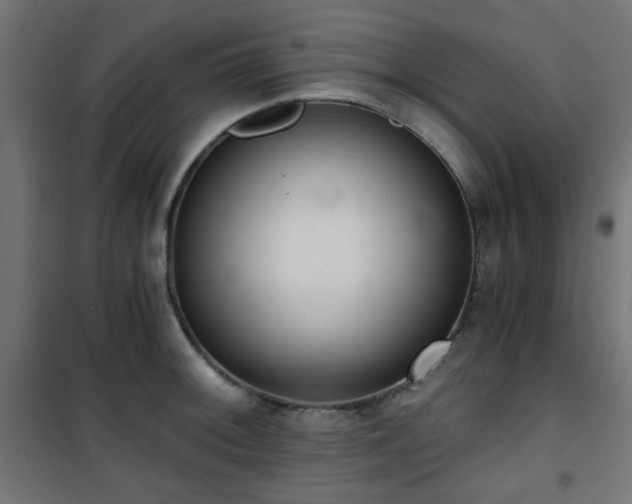 X0000101461092200807071424