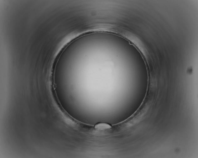 X0000101461093200807071424
