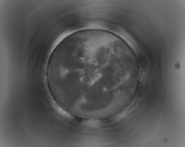 X0000101461094200807071424