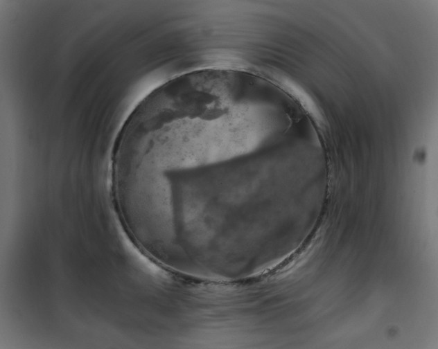 X0000101461095200807071424