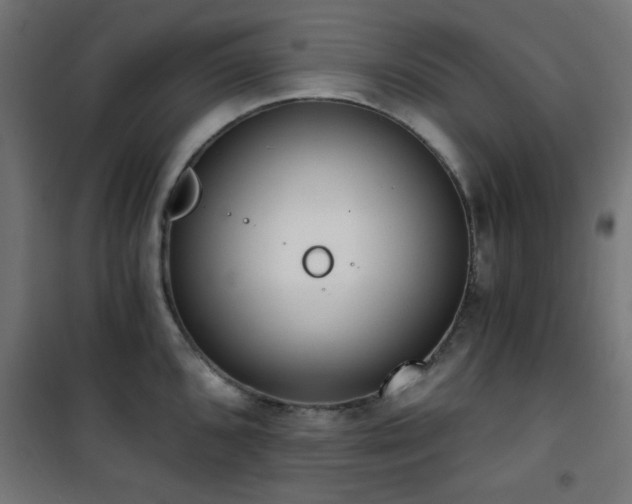 X0000101461096200807071424