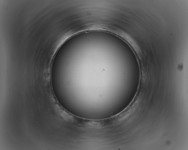 X0000101461097200807071424