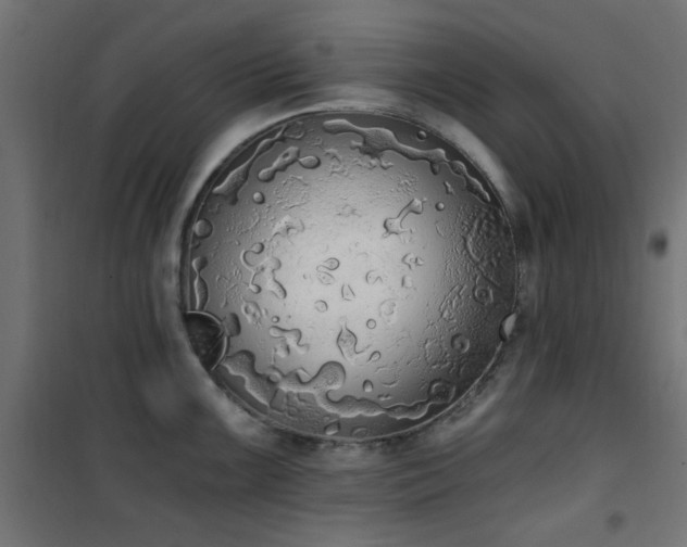 X0000101461099200807071424