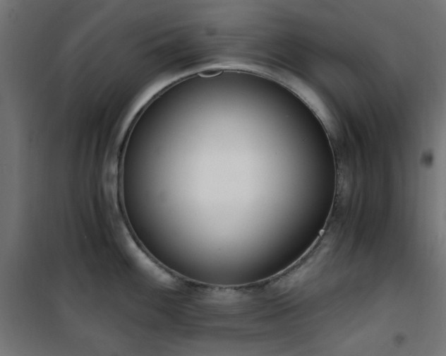 X0000101461100200807071424