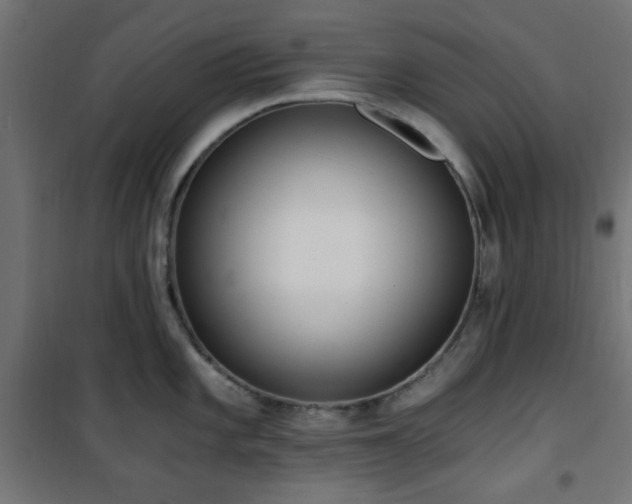 X0000101461101200807071424