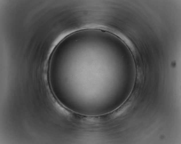 X0000101461102200807071424