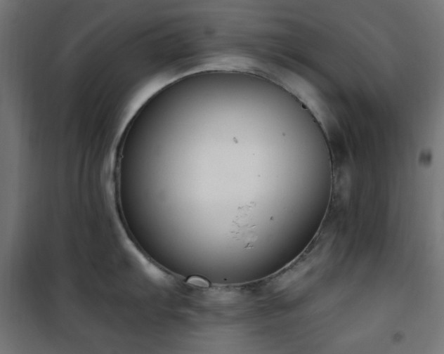 X0000101461103200807071424