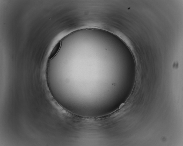 X0000101461104200807071424