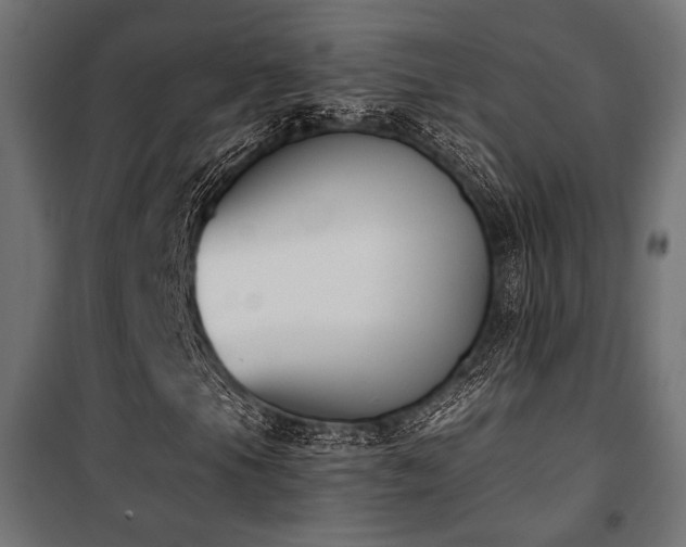 X0000101461105200807071423