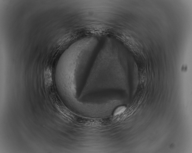 X0000101461106200807071423