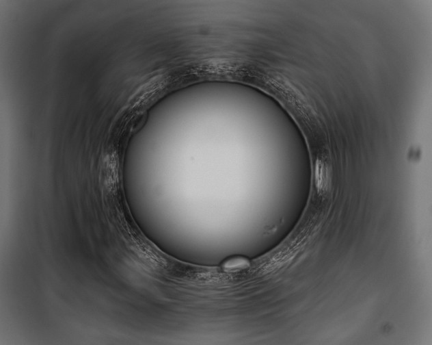 X0000101461107200807071424