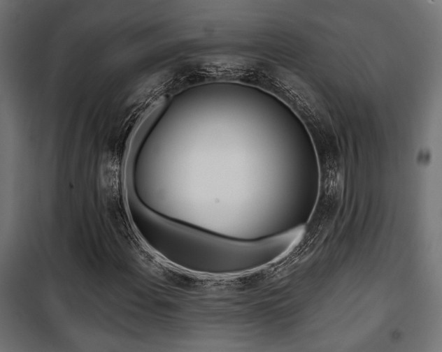 X0000101461108200807071424