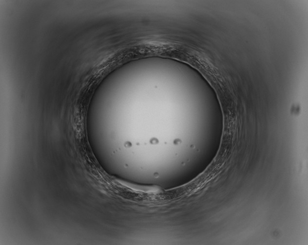 X0000101461109200807071424