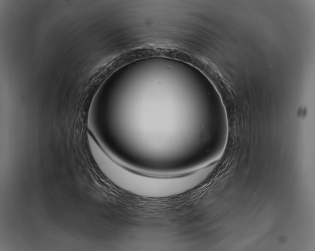 X0000101461110200807071424