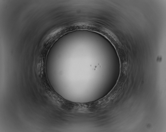X0000101461111200807071424