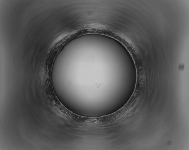 X0000101461112200807071424