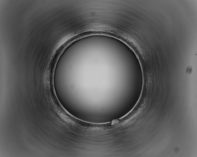 X0000101461114200807071424
