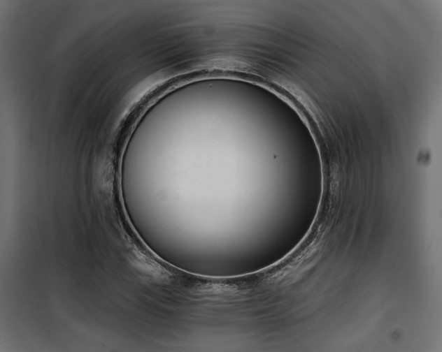 X0000101461115200807071424