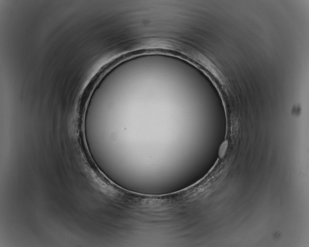 X0000101461116200807071424