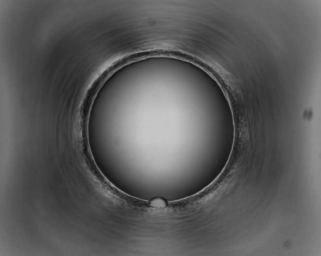 X0000101461118200807071424