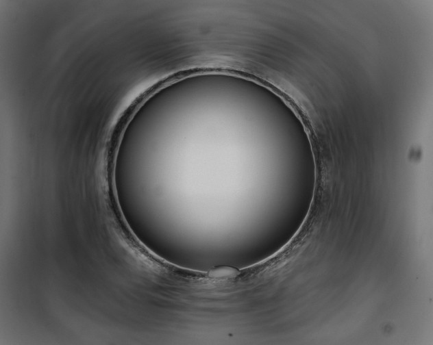 X0000101461120200807071424