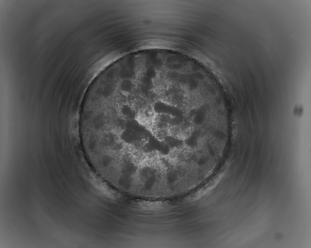 X0000101461121200807071424