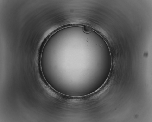 X0000101461122200807071424