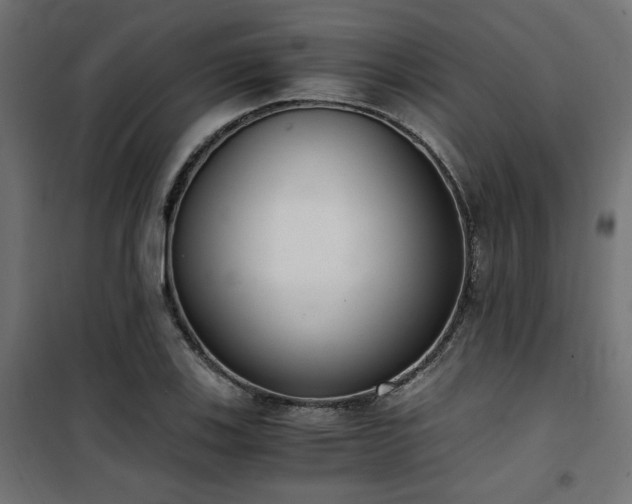 X0000101461123200807071424