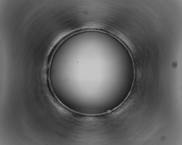 X0000101461124200807071424