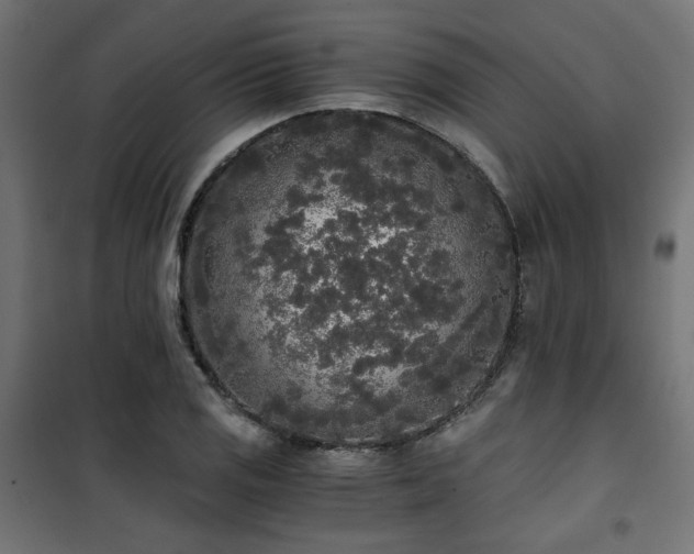 X0000101461125200807071424