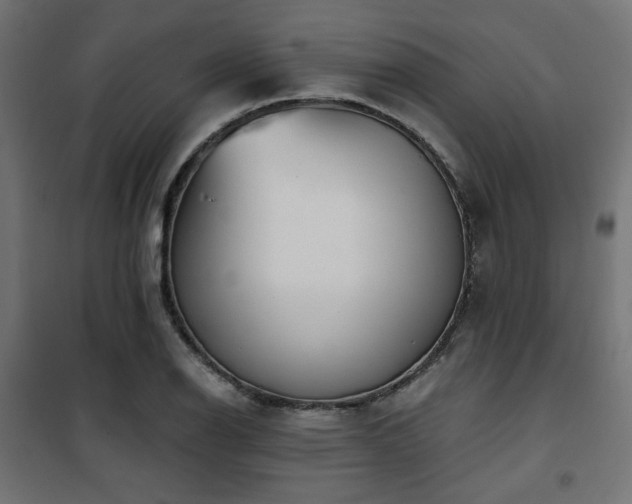 X0000101461126200807071424