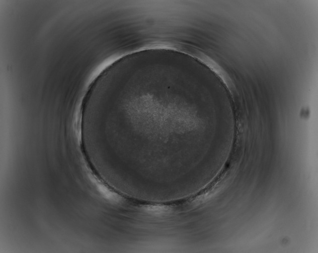 X0000101461127200807071424