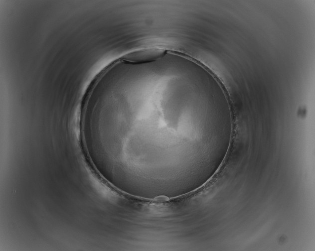 X0000101461128200807071424