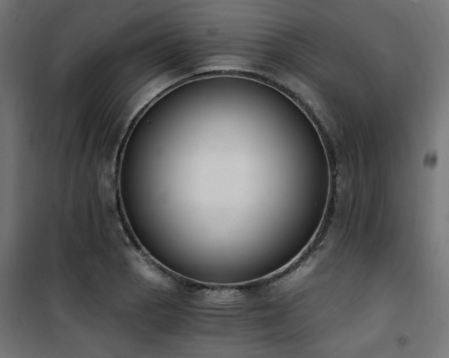X0000101461129200807071424