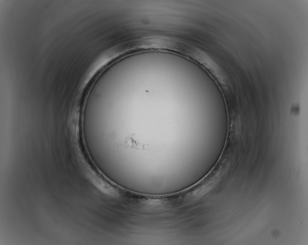 X0000101461130200807071424